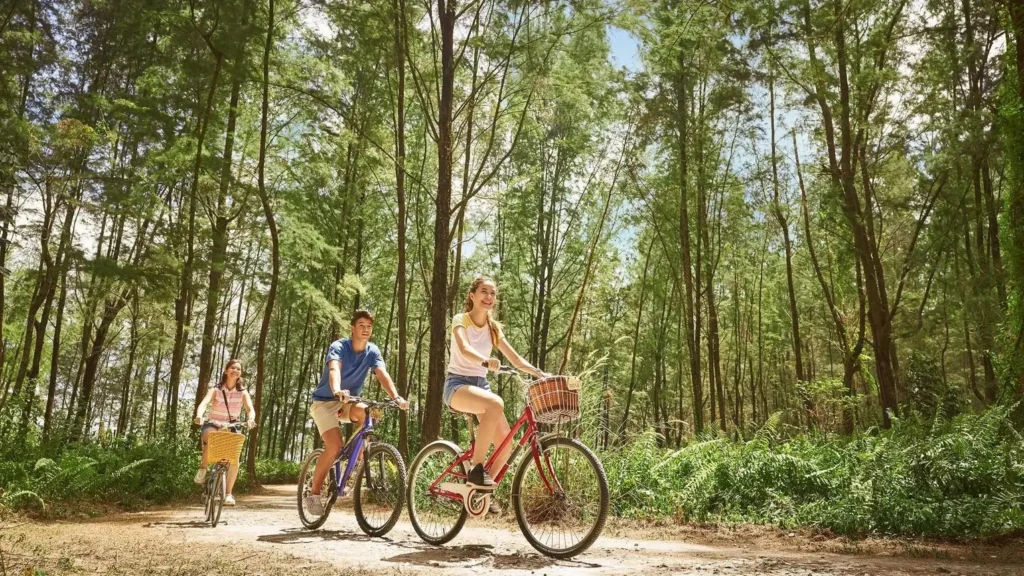 Cyclists exploring a tree-lined trail at Coney Island Park Singapore