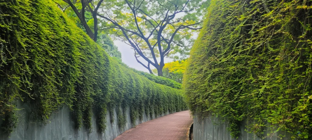 Walking path surrounded by tropical greenery at Fort Canning Park Singapore
