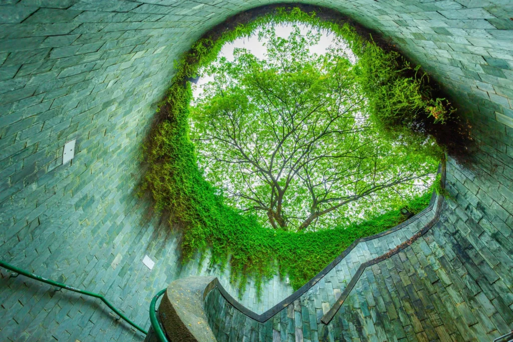 Green tree canopy viewed through the circular opening of Fort Canning Tree Tunnel