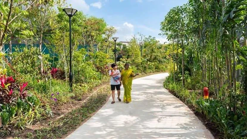 Green walking path and tropical plants at Sembawang Hot Spring Park