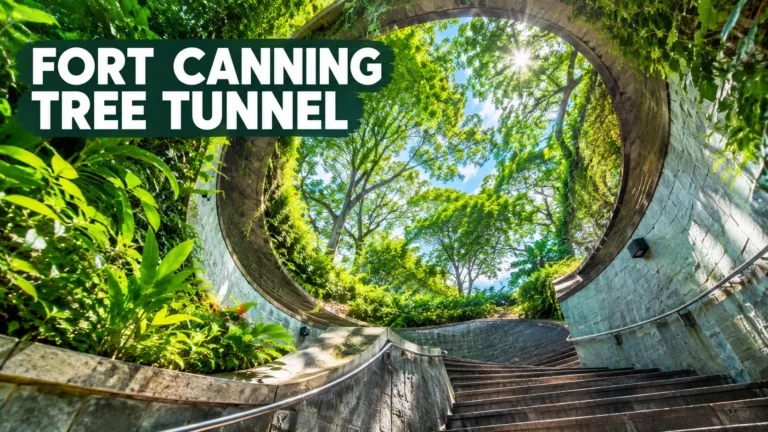 Fort Canning Tree Tunnel Singapore with its iconic spiral staircase and green canopy