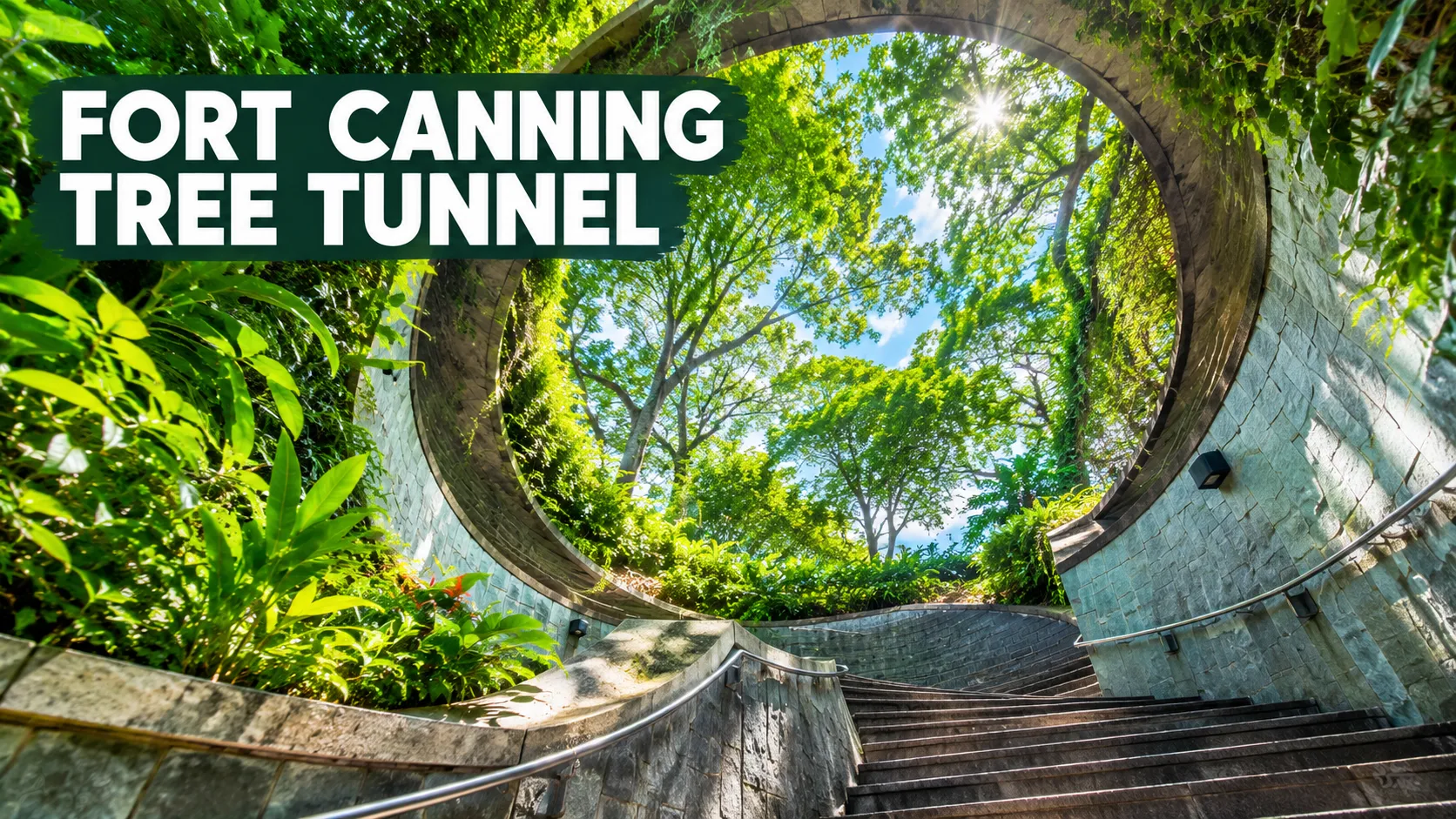 Fort Canning Tree Tunnel Singapore with its iconic spiral staircase and green canopy